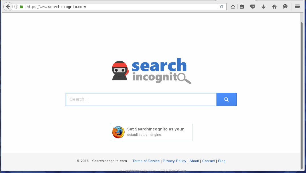 searchincognito.com