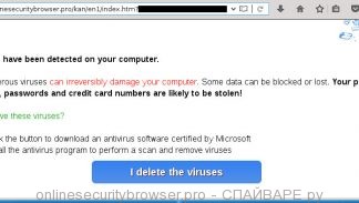 onlinesecuritybrowser.pro